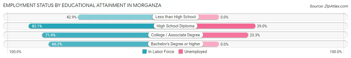 Employment Status by Educational Attainment in Morganza