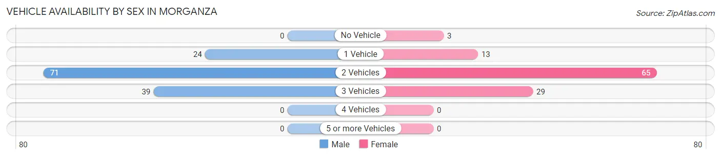 Vehicle Availability by Sex in Morganza