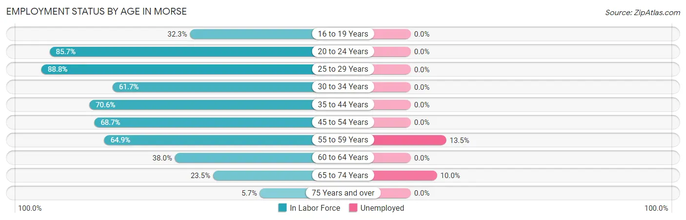 Employment Status by Age in Morse