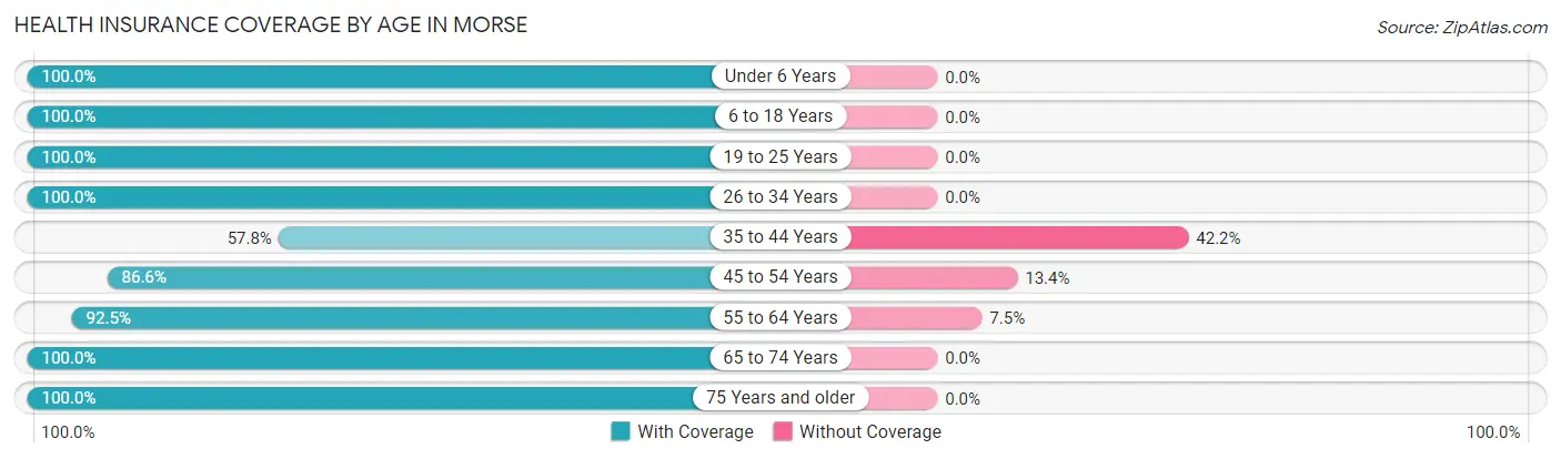 Health Insurance Coverage by Age in Morse