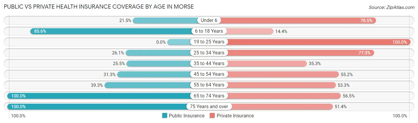 Public vs Private Health Insurance Coverage by Age in Morse