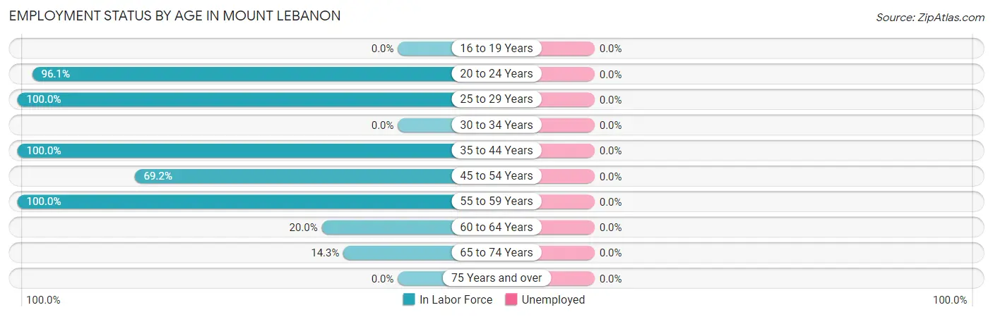 Employment Status by Age in Mount Lebanon