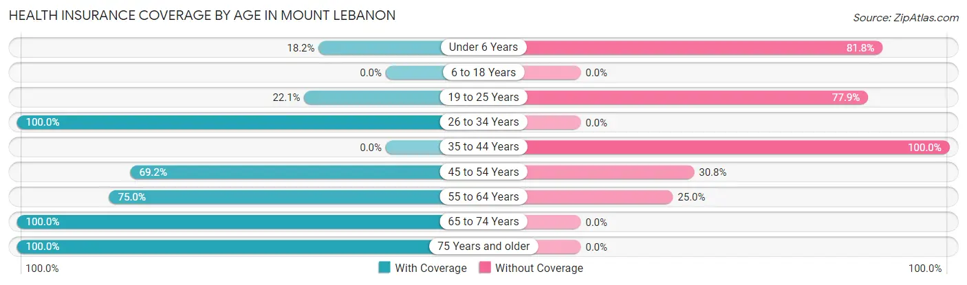 Health Insurance Coverage by Age in Mount Lebanon
