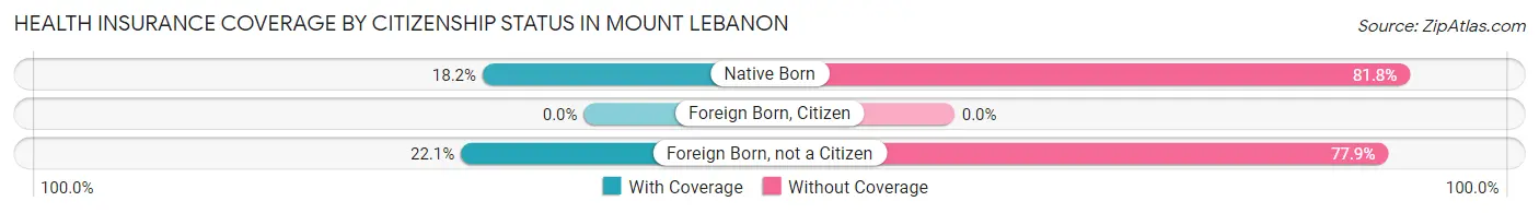 Health Insurance Coverage by Citizenship Status in Mount Lebanon