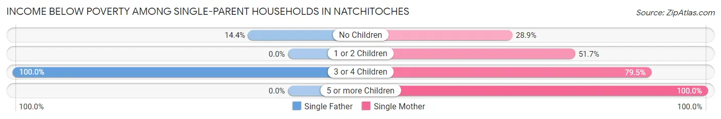 Income Below Poverty Among Single-Parent Households in Natchitoches