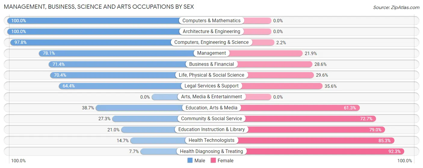 Management, Business, Science and Arts Occupations by Sex in New Iberia