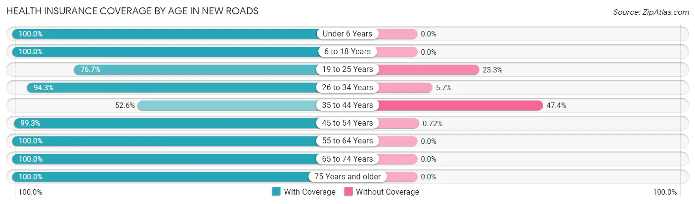 Health Insurance Coverage by Age in New Roads