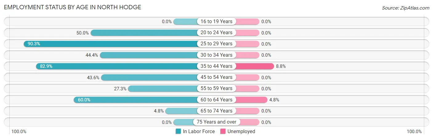 Employment Status by Age in North Hodge