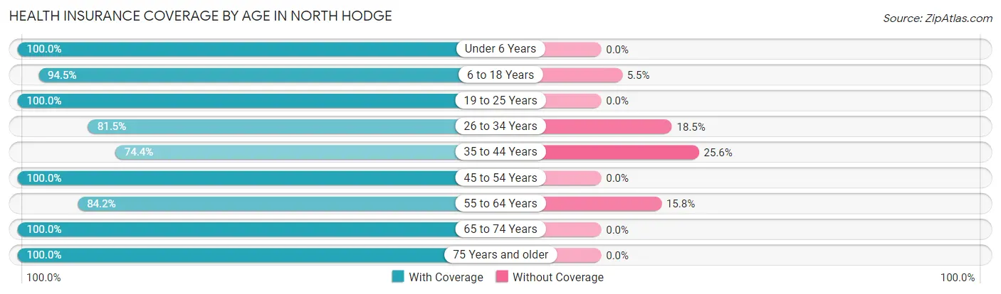 Health Insurance Coverage by Age in North Hodge