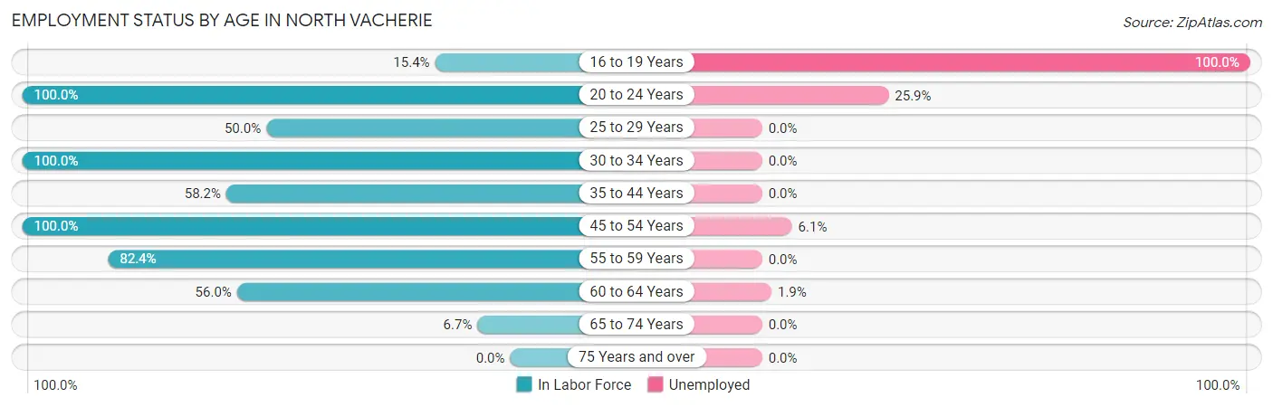 Employment Status by Age in North Vacherie