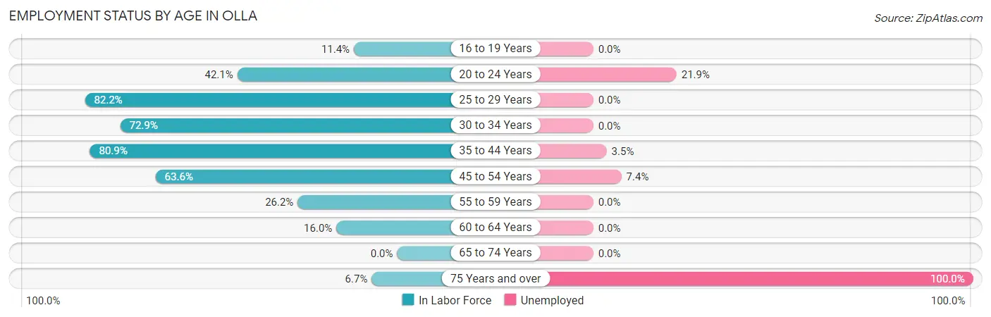 Employment Status by Age in Olla