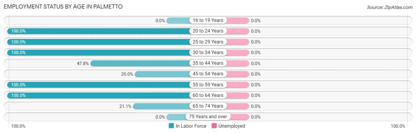 Employment Status by Age in Palmetto