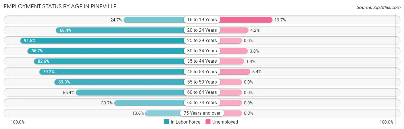 Employment Status by Age in Pineville