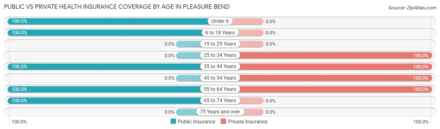 Public vs Private Health Insurance Coverage by Age in Pleasure Bend