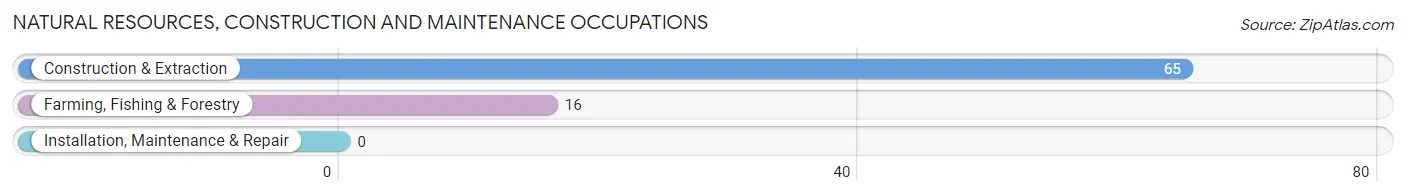 Natural Resources, Construction and Maintenance Occupations in Port Sulphur