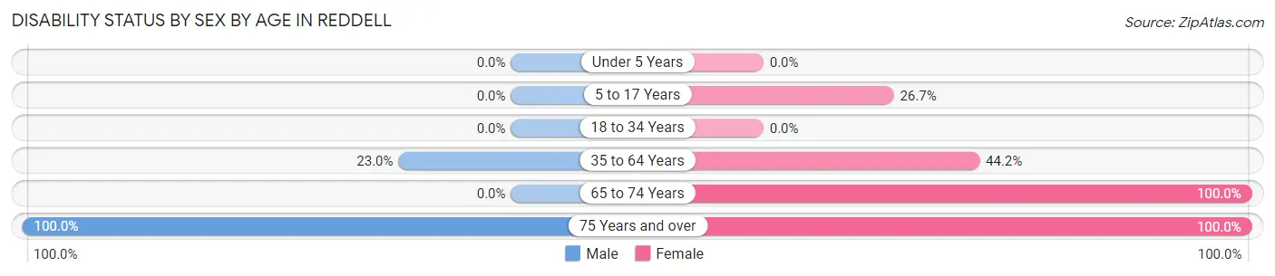 Disability Status by Sex by Age in Reddell