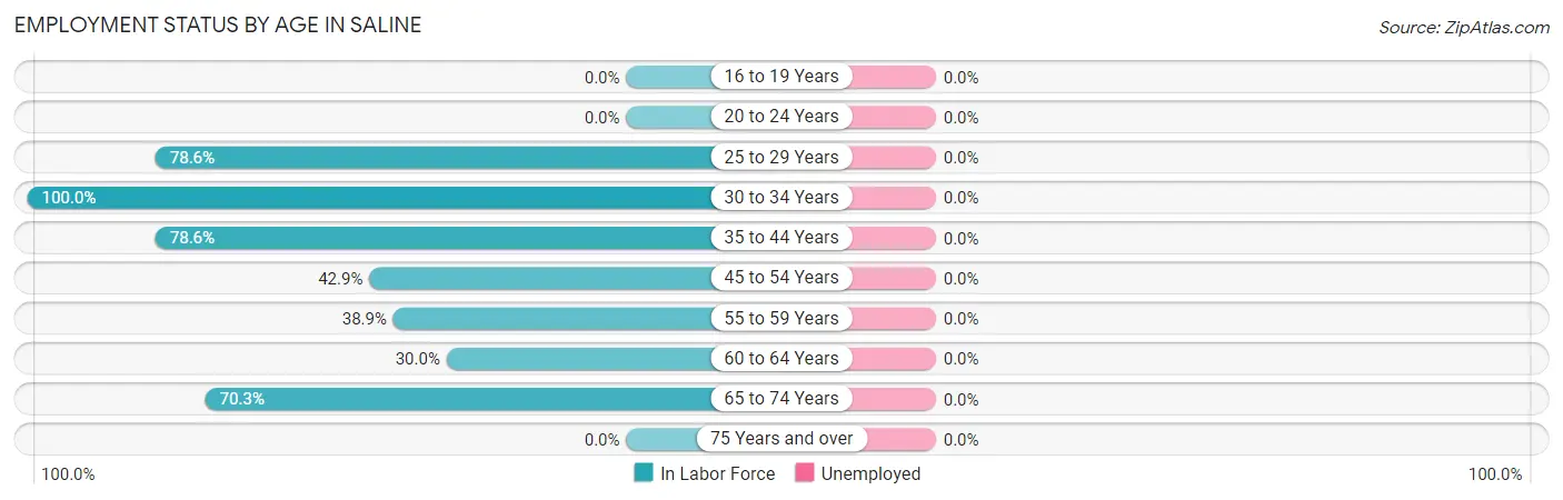 Employment Status by Age in Saline