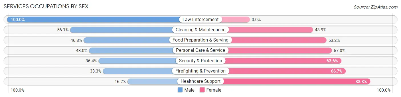 Services Occupations by Sex in Shenandoah