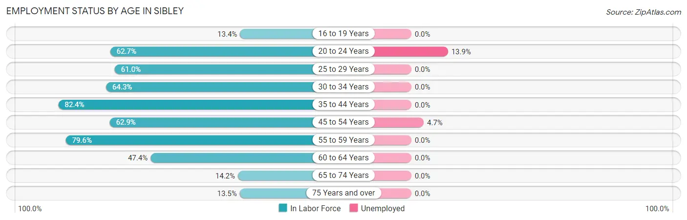 Employment Status by Age in Sibley