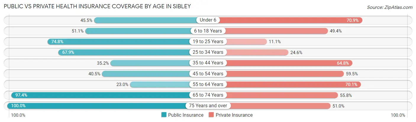 Public vs Private Health Insurance Coverage by Age in Sibley