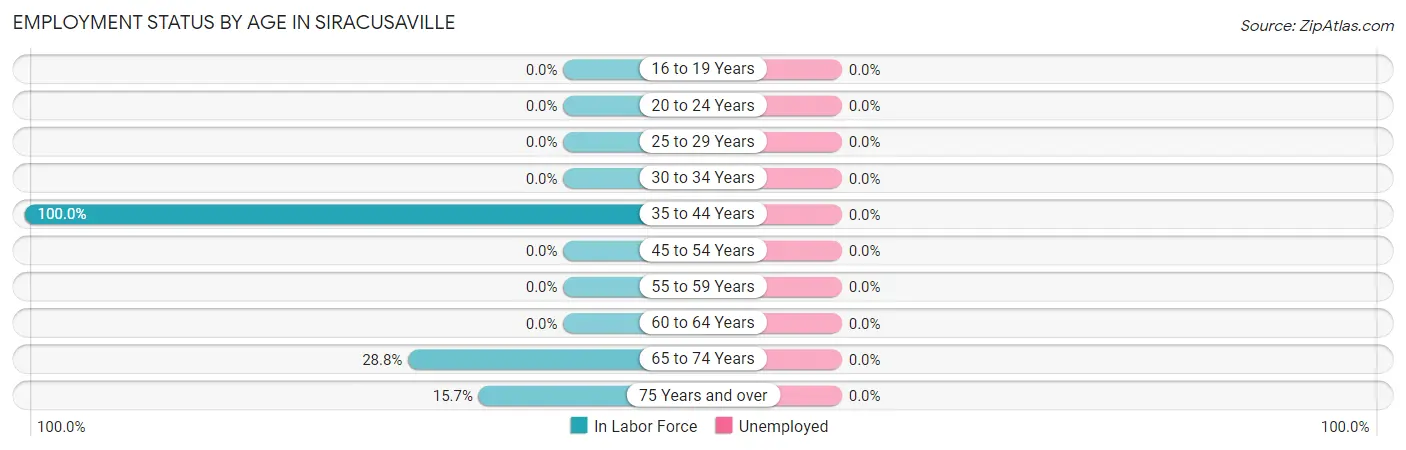 Employment Status by Age in Siracusaville