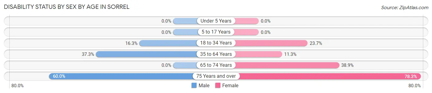Disability Status by Sex by Age in Sorrel