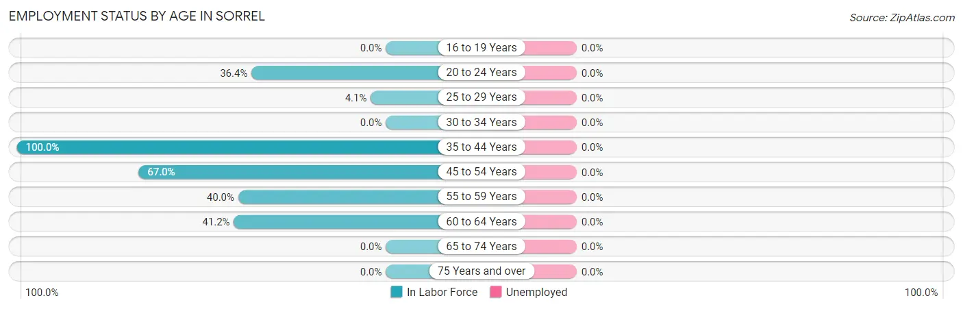 Employment Status by Age in Sorrel