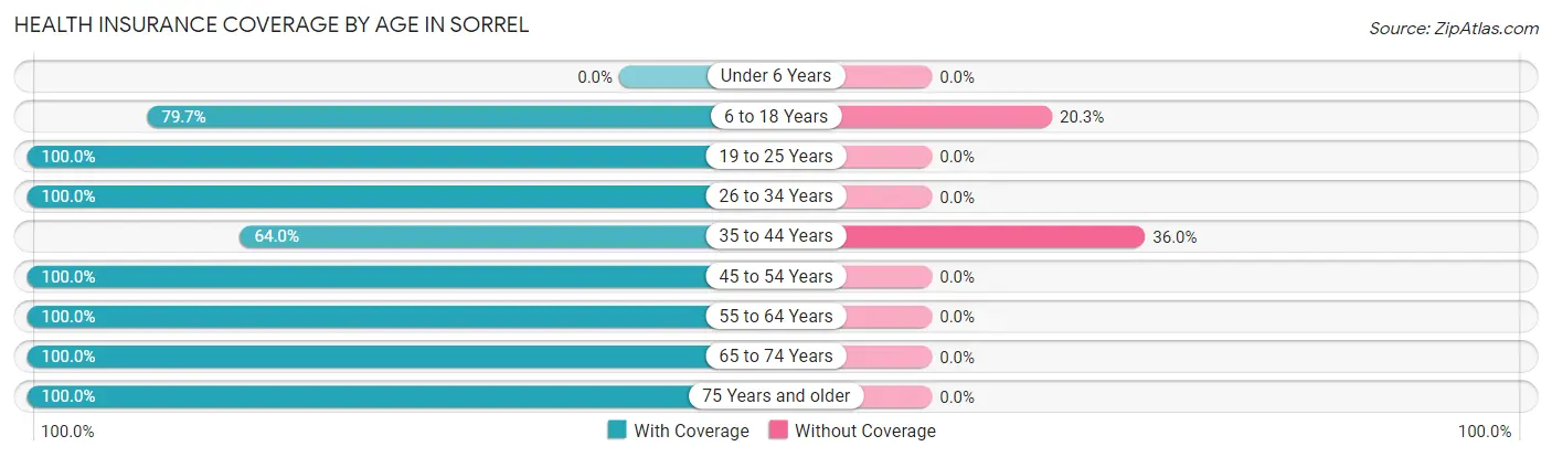 Health Insurance Coverage by Age in Sorrel