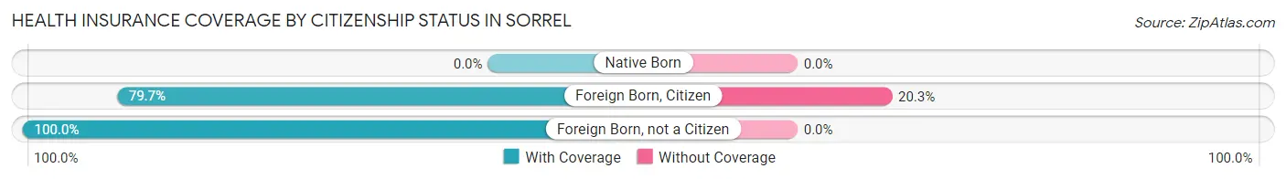 Health Insurance Coverage by Citizenship Status in Sorrel