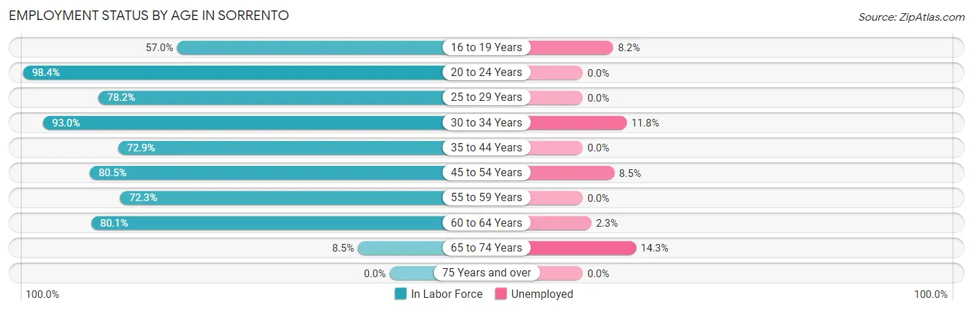Employment Status by Age in Sorrento
