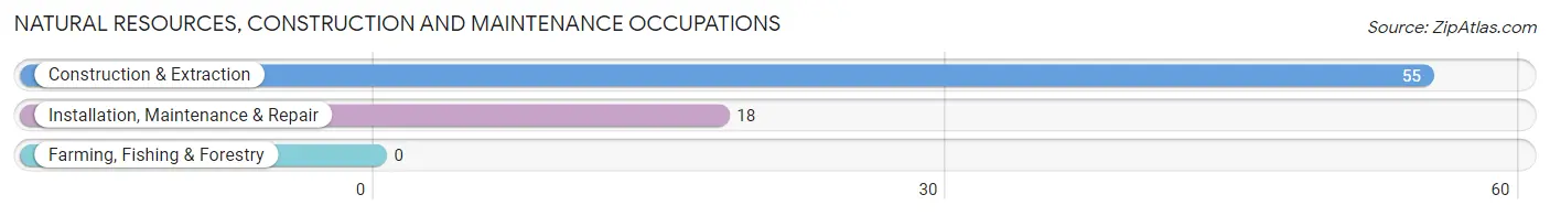 Natural Resources, Construction and Maintenance Occupations in Sorrento