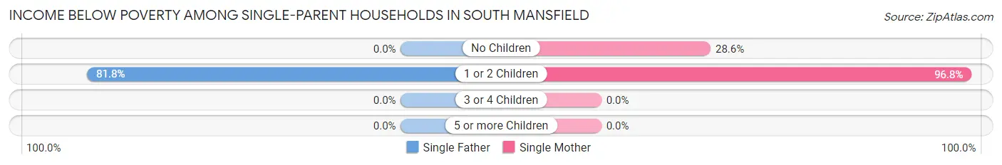 Income Below Poverty Among Single-Parent Households in South Mansfield
