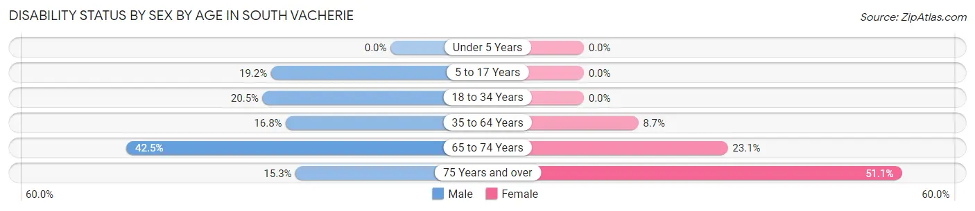 Disability Status by Sex by Age in South Vacherie