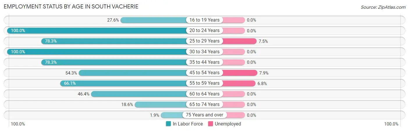 Employment Status by Age in South Vacherie