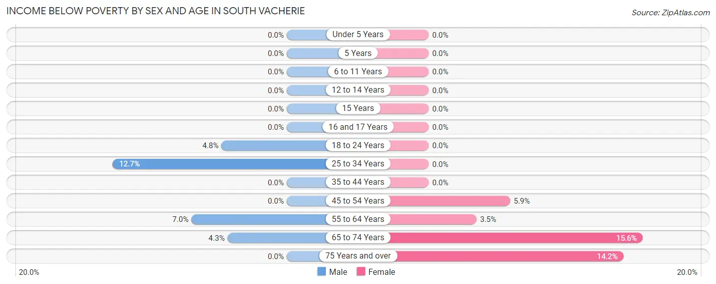 Income Below Poverty by Sex and Age in South Vacherie