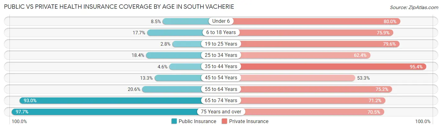Public vs Private Health Insurance Coverage by Age in South Vacherie