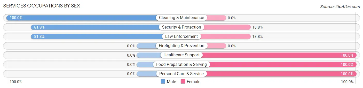 Services Occupations by Sex in St Joseph