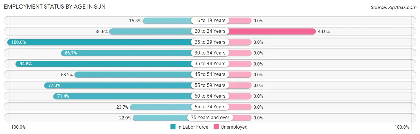 Employment Status by Age in Sun
