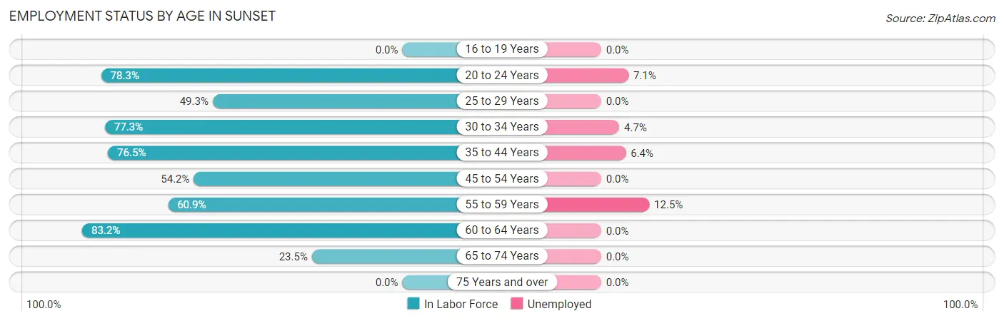 Employment Status by Age in Sunset