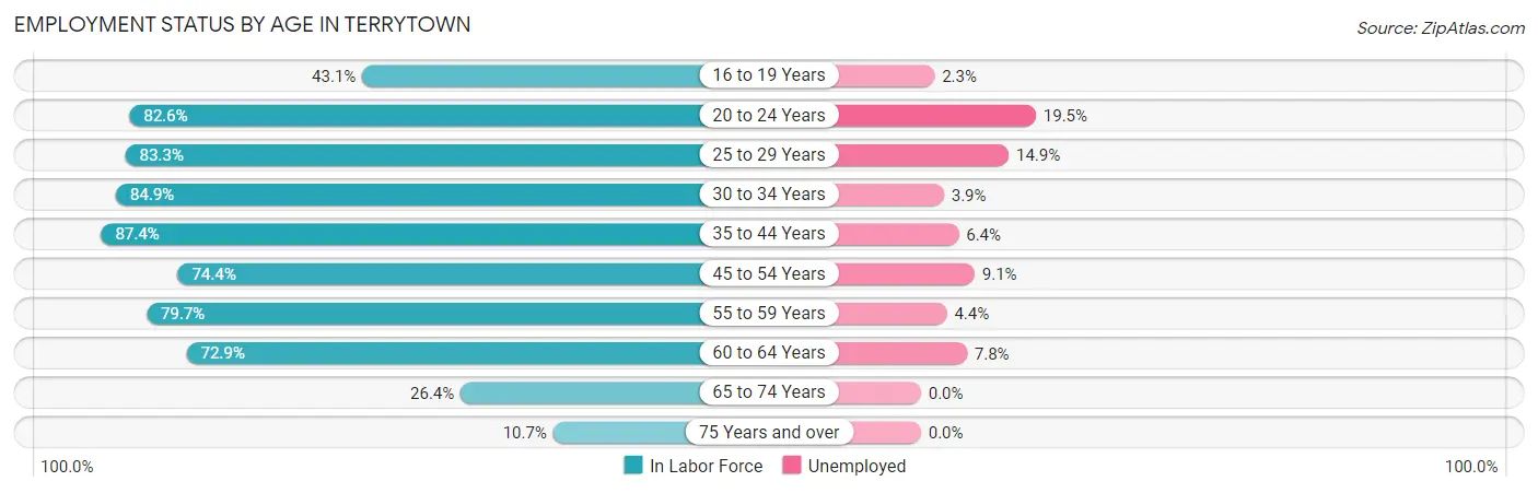 Employment Status by Age in Terrytown