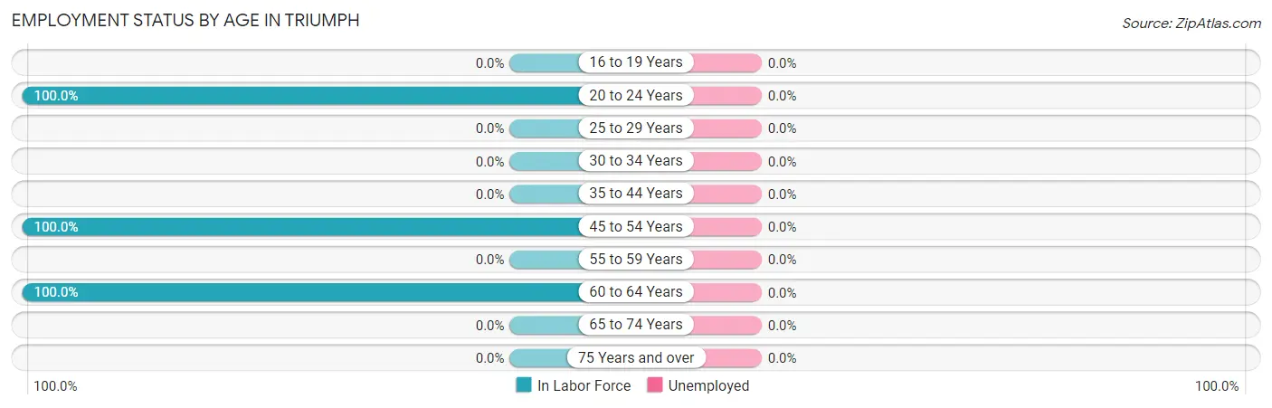 Employment Status by Age in Triumph
