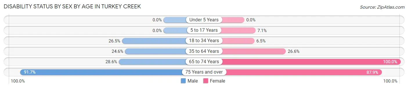 Disability Status by Sex by Age in Turkey Creek