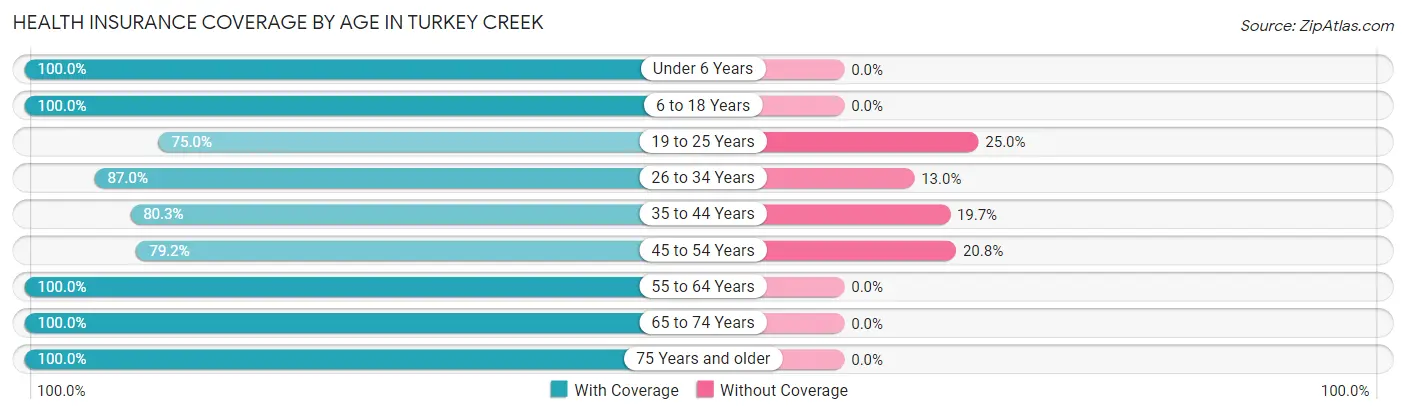 Health Insurance Coverage by Age in Turkey Creek