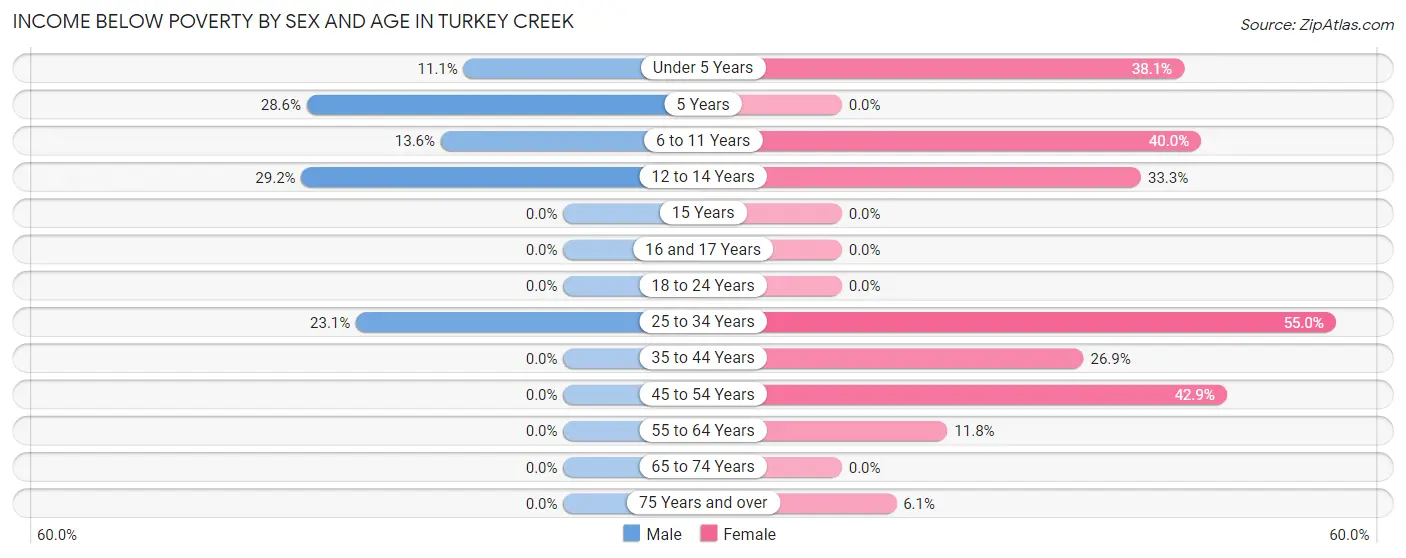 Income Below Poverty by Sex and Age in Turkey Creek