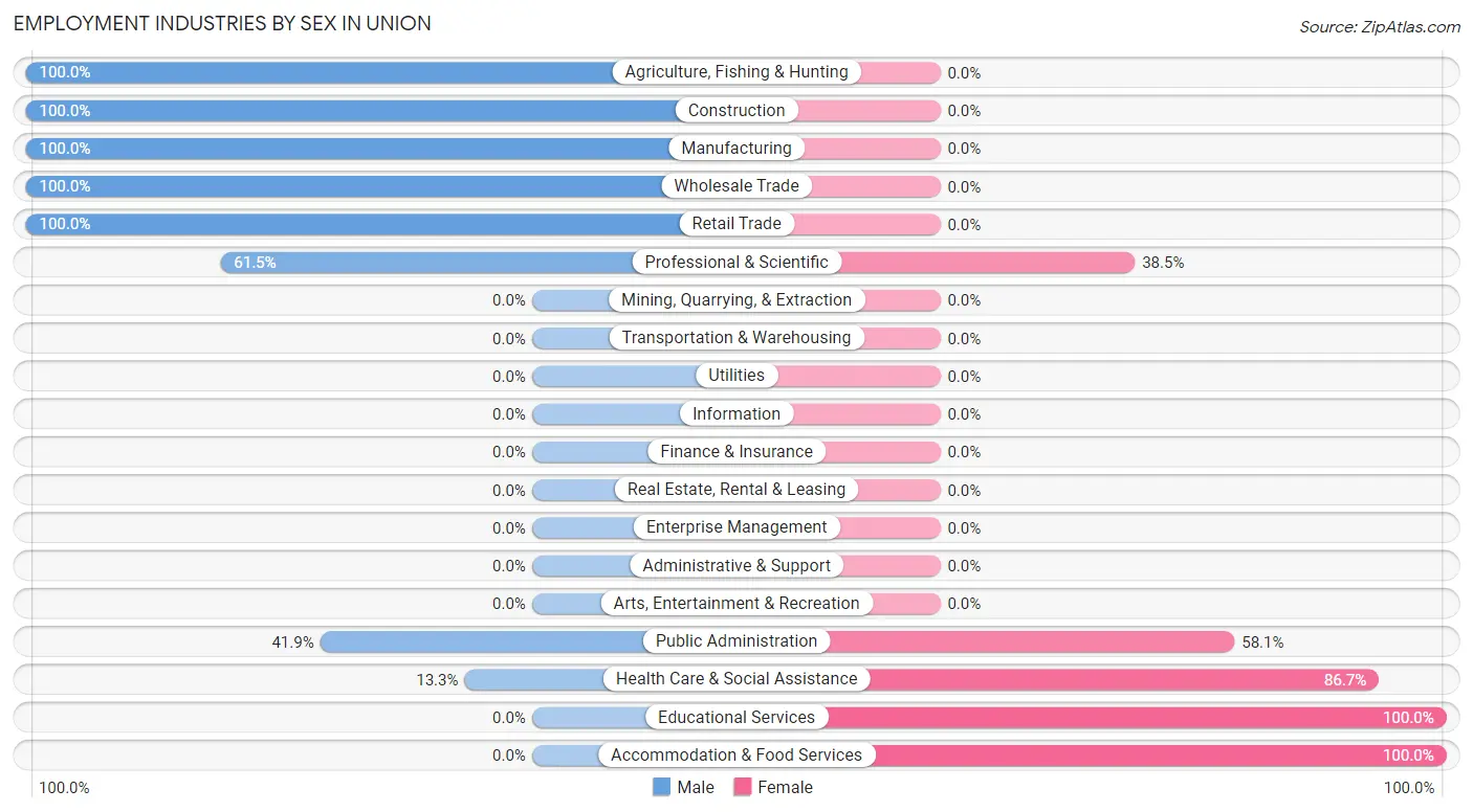 Employment Industries by Sex in Union