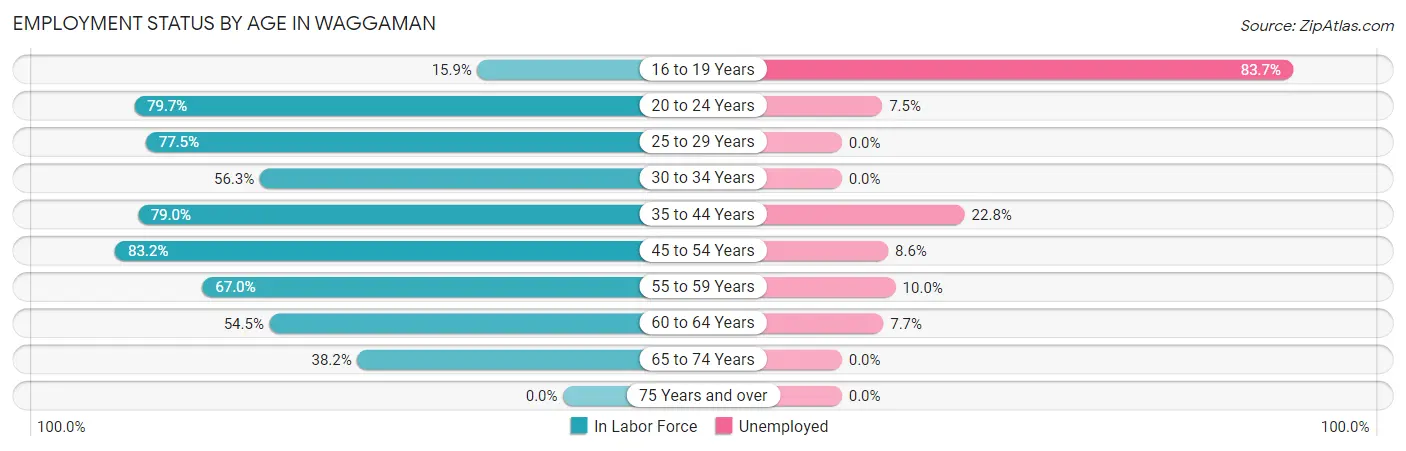 Employment Status by Age in Waggaman