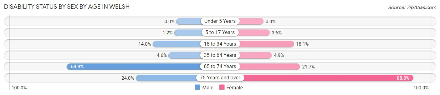 Disability Status by Sex by Age in Welsh