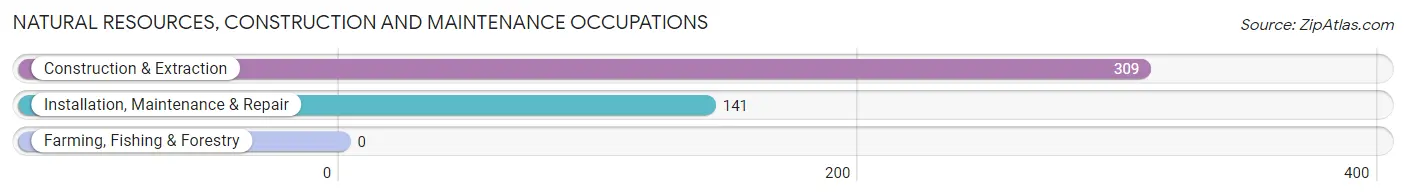 Natural Resources, Construction and Maintenance Occupations in Woodmere