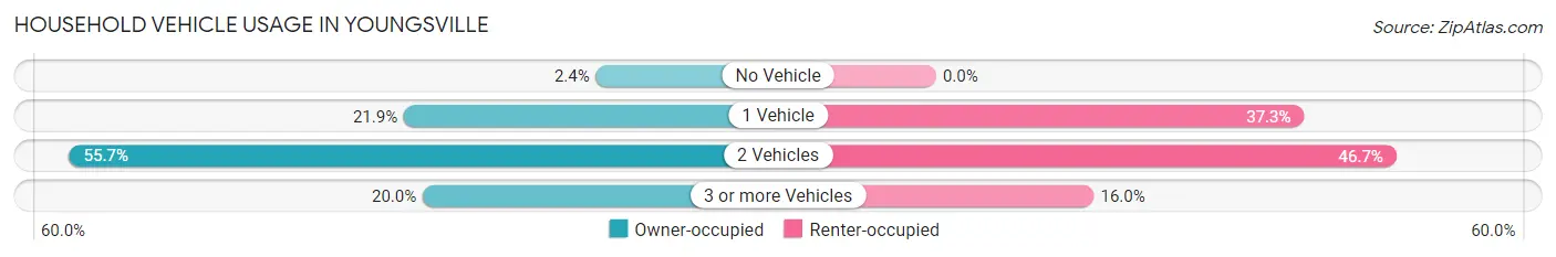 Household Vehicle Usage in Youngsville