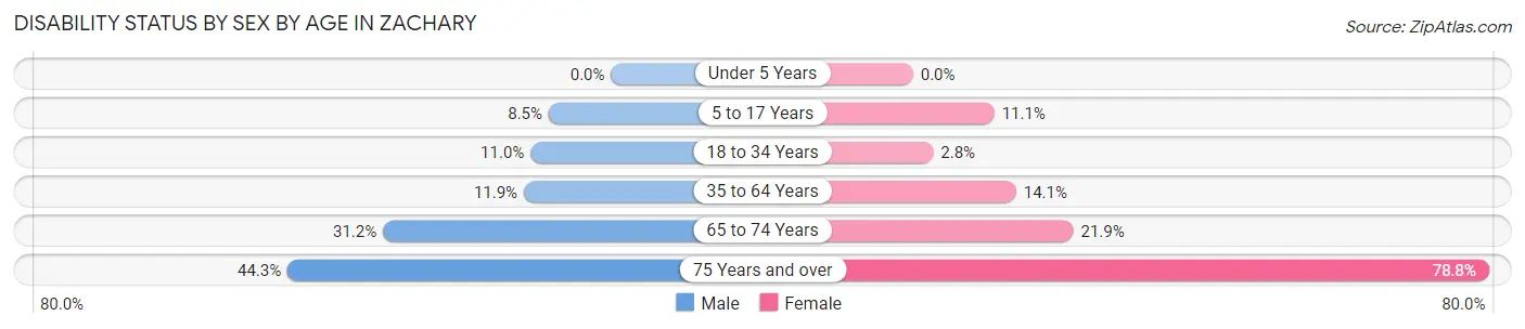 Disability Status by Sex by Age in Zachary